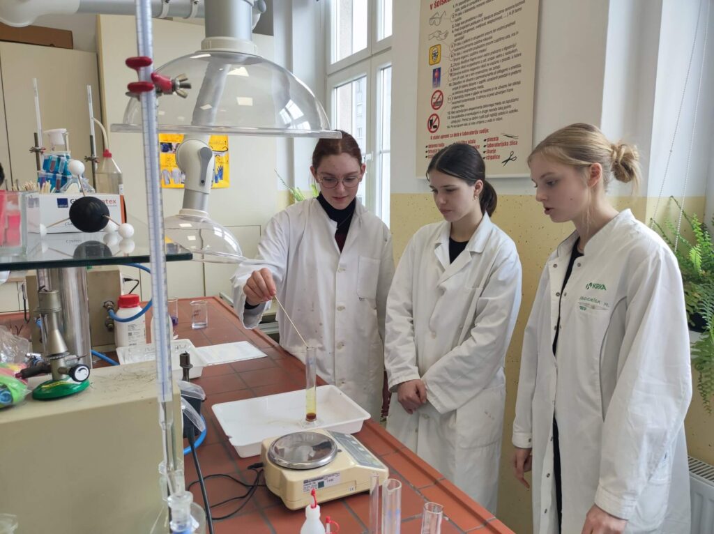 Kemijska delavnica na I. gimnaziji, januar 2025