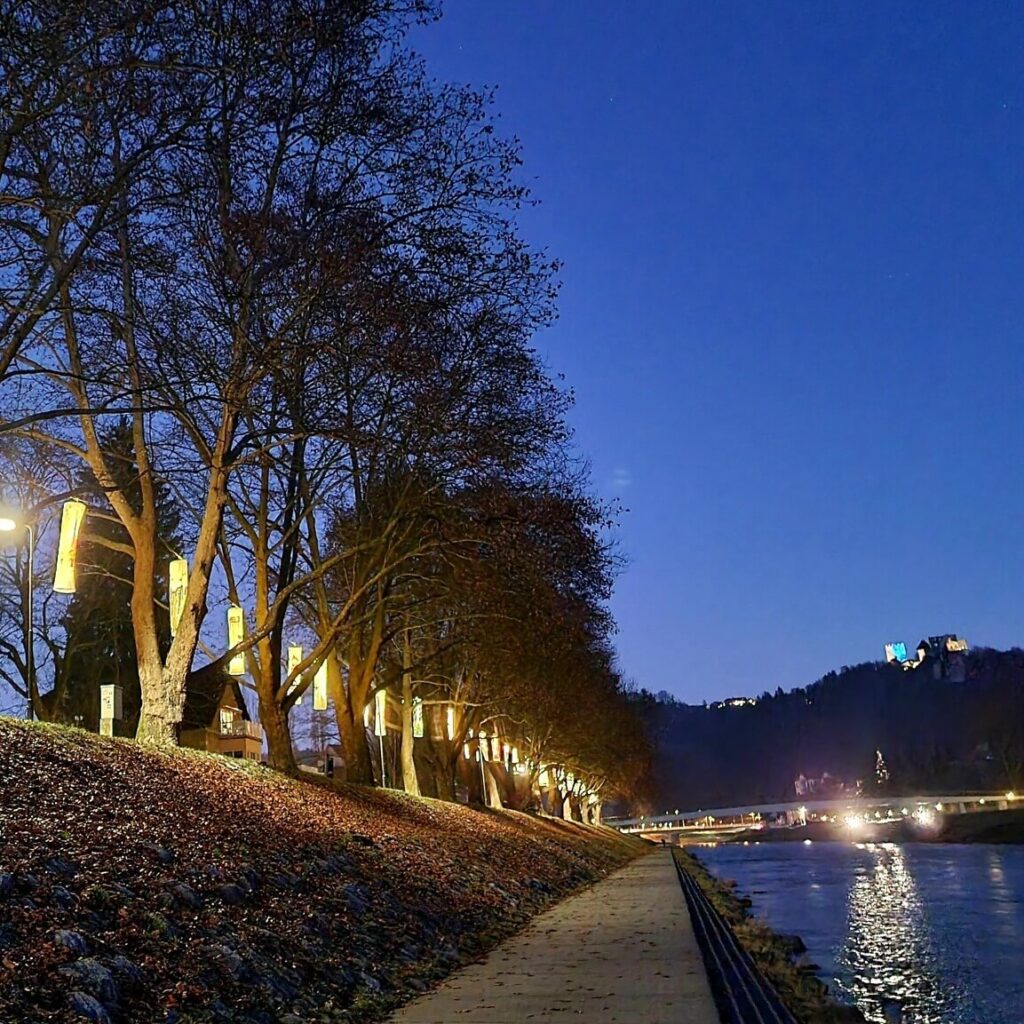 Lampijoni na savinjskem nabrežju 2024