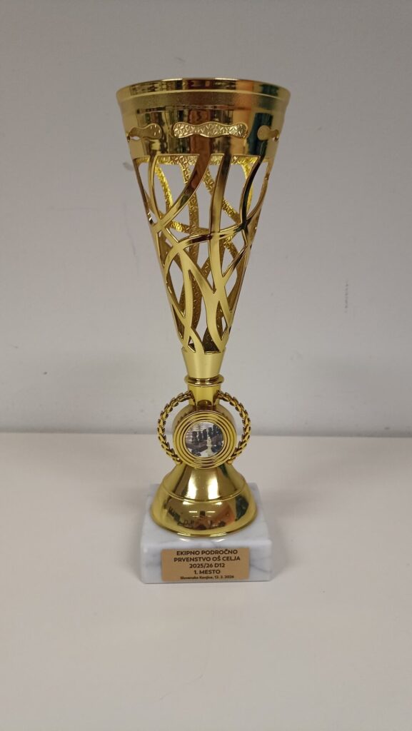 Področno ekipno tekmovanje D12 v šahu 2026