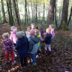 Prvošolci v gozdu - LEAF