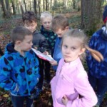 Prvošolci v gozdu - LEAF