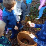 Prvošolci v gozdu - LEAF