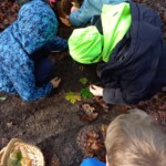 Prvošolci v gozdu - LEAF