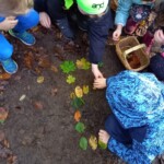 Prvošolci v gozdu - LEAF