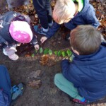 Prvošolci v gozdu - LEAF