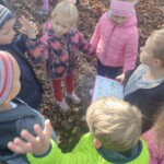 Prvošolci v gozdu - LEAF