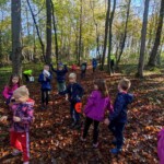 Prvošolci v gozdu - LEAF