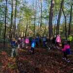 Prvošolci v gozdu - LEAF