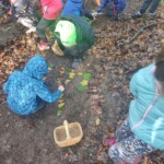 Prvošolci v gozdu - LEAF