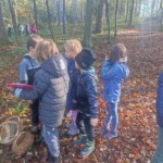 Prvošolci v gozdu - LEAF