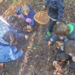 Prvošolci v gozdu - LEAF