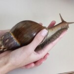 Veselje do znanosti 2023