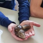 Veselje do znanosti 2023