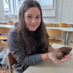 Veselje do znanosti 2023