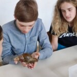 Veselje do znanosti 2023