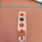 Obisk kemijske delavnice na I. gimnaziji v Celju