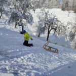 Zimski športni dan 1-5. razred, januar 2024