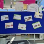 Projekt Drevo = Življenje 2024