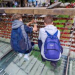 Znanstival dogodivščin 2024