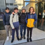 Male sive celice, Ljubljana, december 2024