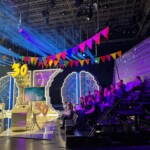 Male sive celice, Ljubljana, december 2024