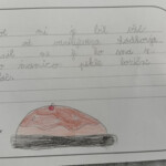 Teden pisanja z roko 2025 - Ko spomini zadišijo