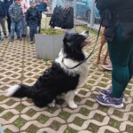 Dan zdravja na OŠ Frana Kranjca, april 2025