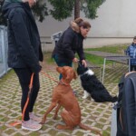 Dan zdravja na OŠ Frana Kranjca, april 2025