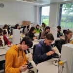 Dan očarljivih rastlin 2025