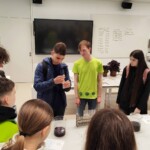 Dan očarljivih rastlin 2025