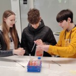 Dan očarljivih rastlin 2025