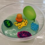 Dan očarljivih rastlin 2025