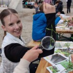 Dan očarljivih rastlin 2025