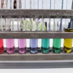 Dan očarljivih rastlin 2025