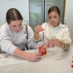 Dan očarljivih rastlin 2025