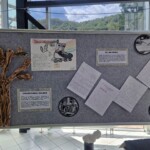 Razstava D = Ž 2025