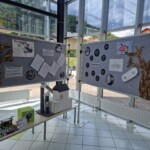 Razstava D = Ž 2025