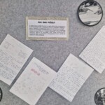 Razstava D = Ž 2025