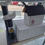 Razstava D = Ž 2025