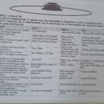 Državno srečanje mladih raziskovalcev, maj 2025