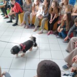 S tačko v roki 2025