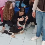 S tačko v roki 2025