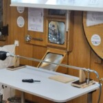 Znanstival, maj 2025