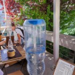 Znanstival, maj 2025