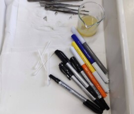 Veselje do znanosti, november 2025