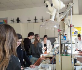 Kemijska delavnica na I. gimnaziji v Celju, november 2025