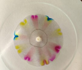 Kemijska delavnica na I. gimnaziji v Celju, november 2025