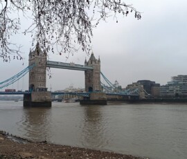 Ekskurzija v London 2026 - 2. dan