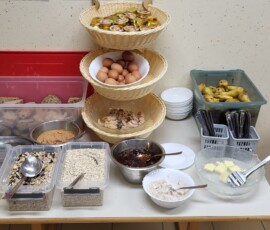 Šola v naravi, Trilobit 2026, 2. dan