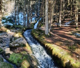 Šola v naravi, Trilobit 2026, 3. dan